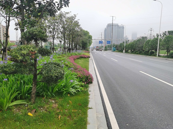 1619505722195449.jpg 市優(yōu)工程專家組蒞臨昌東大道檢查評(píng)審6003.jpg