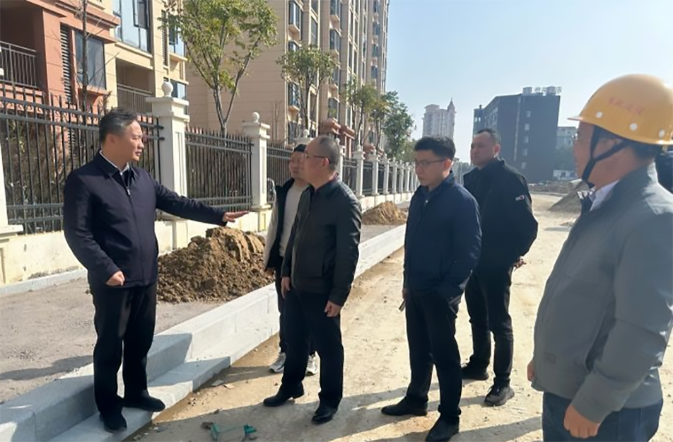 青山湖區(qū)黨委副書(shū)記、區(qū)長(zhǎng)楊育星到利民路項(xiàng)目調(diào)研